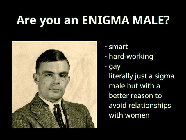 Are you an enigma male? - meme