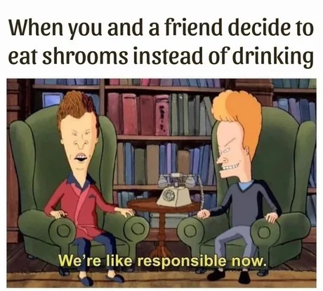 we're like responsible now - meme