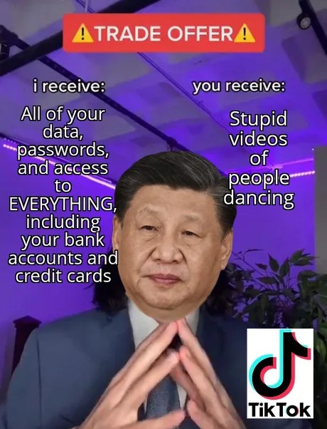 Tiktok trade offer meme