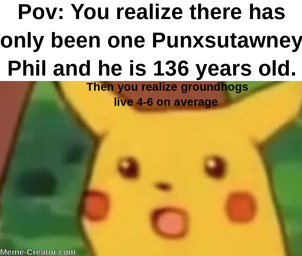 Punxsutawney Phil isn't dead - meme
