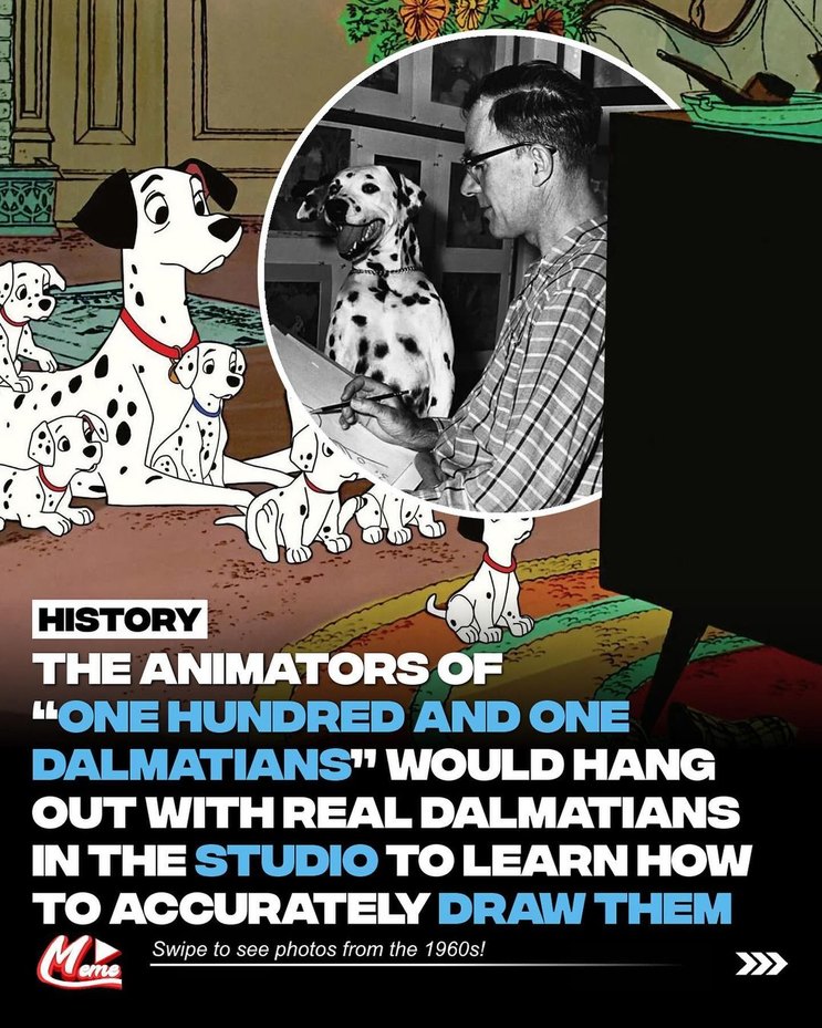 For the 1961 release of “One Hundred And One Dalmatians” the animators used real Dalmatians for reference - meme