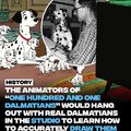 For the 1961 release of “One Hundred And One Dalmatians” the animators used real Dalmatians for reference