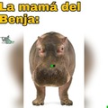 commented item thumbnail