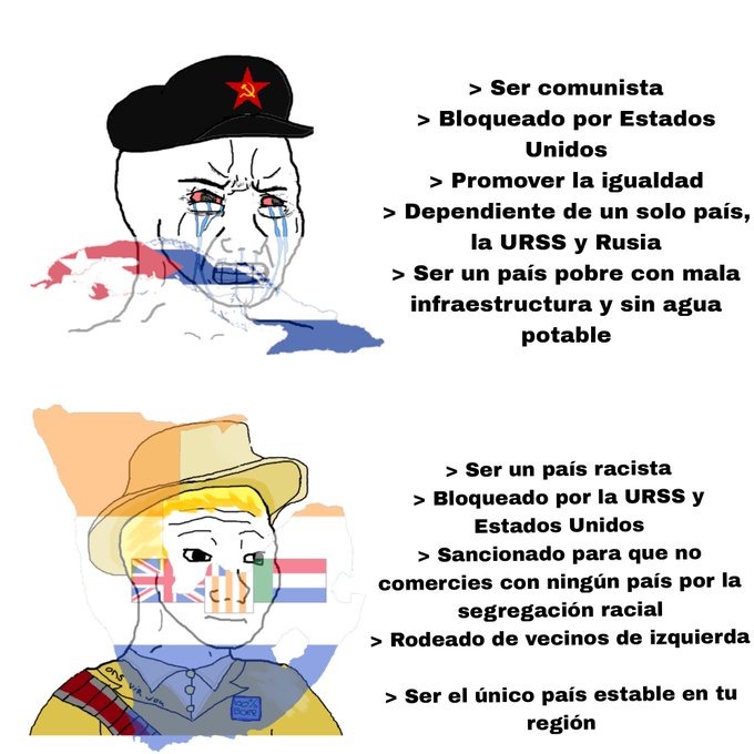 la sudafrica del apartheid le fue mejor en la teoria de la autosustentabilidad - meme