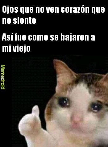 No se me volví memedroider no follo