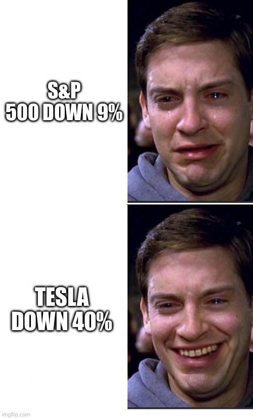 S&P 500 and Tesla stock down meme
