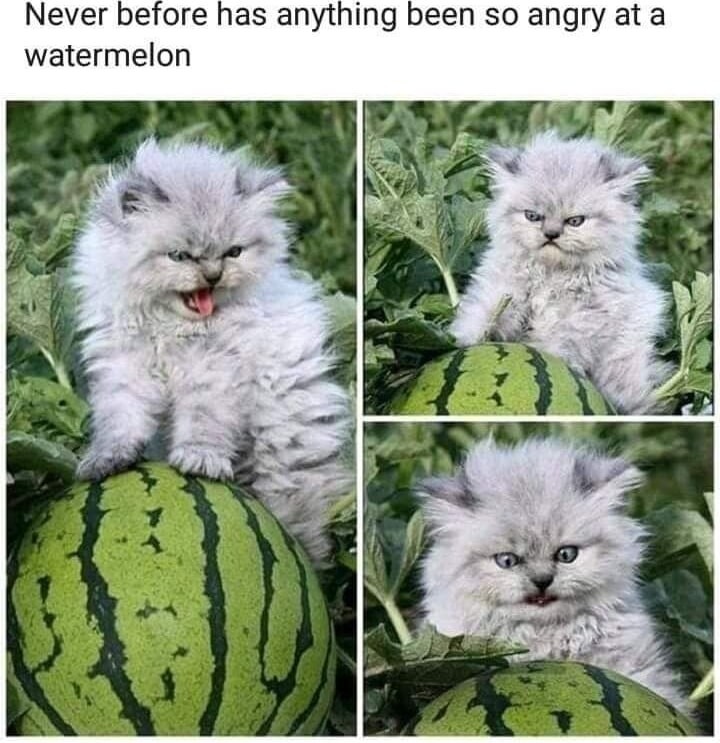 Angry - meme