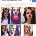 if you use the dog filter please contact a vet immediately
