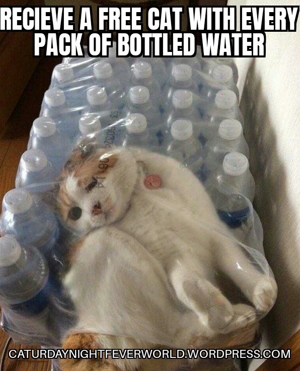 Free cat with pack of water - meme