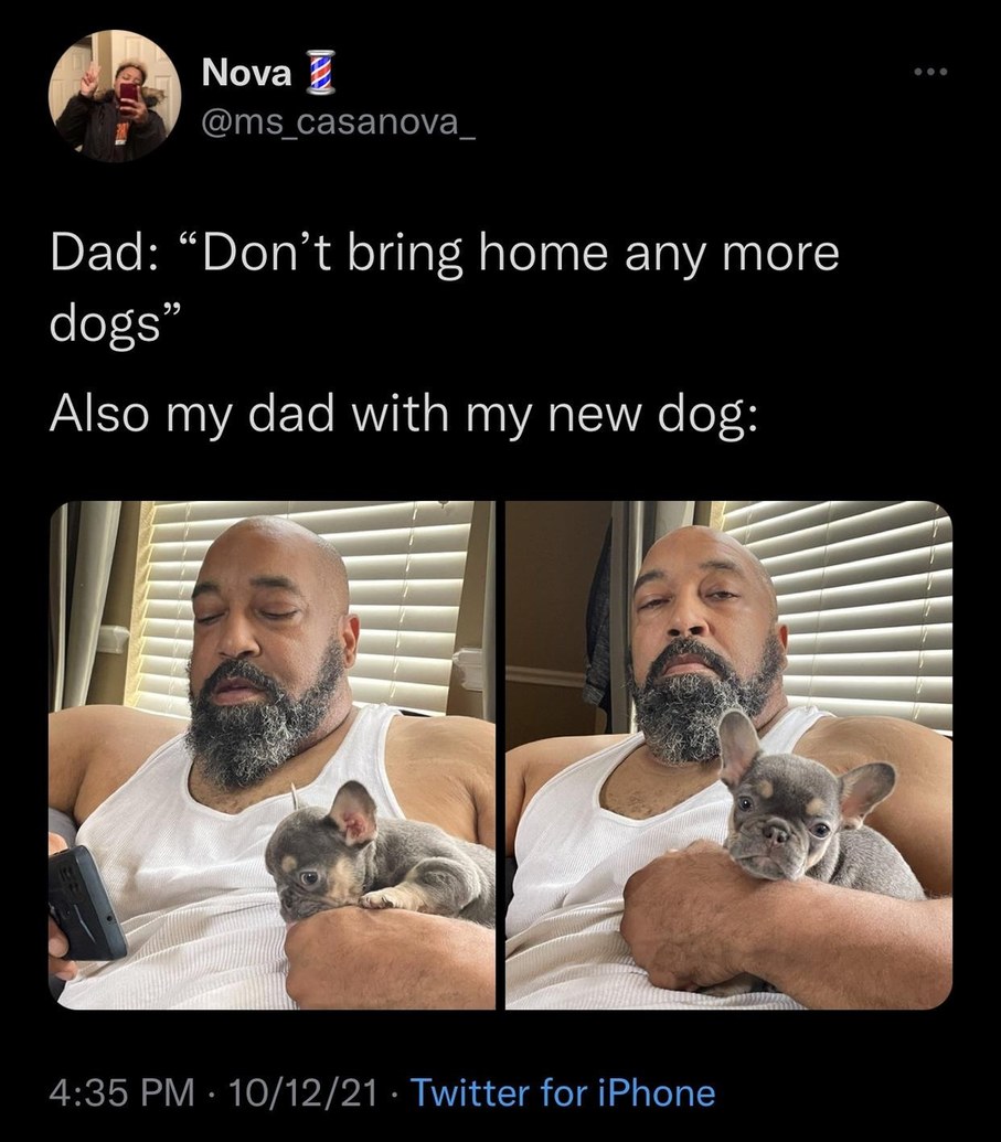 dads and dogs - meme