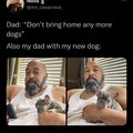 dads and dogs