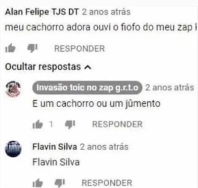 Flavin Silva - meme