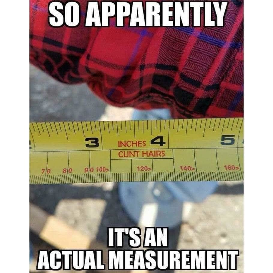 actual measurement - meme