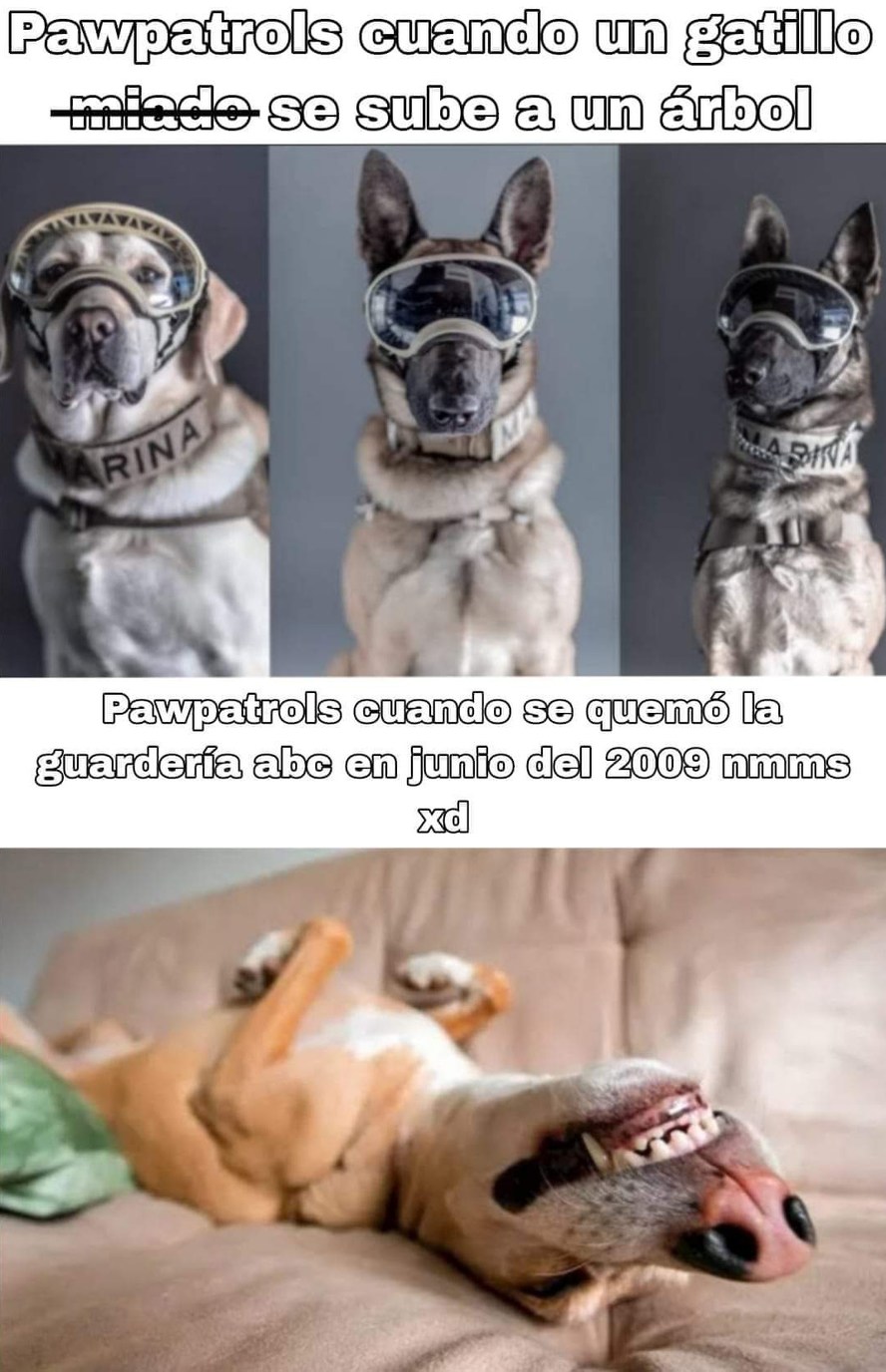 Uff, referencia  - meme