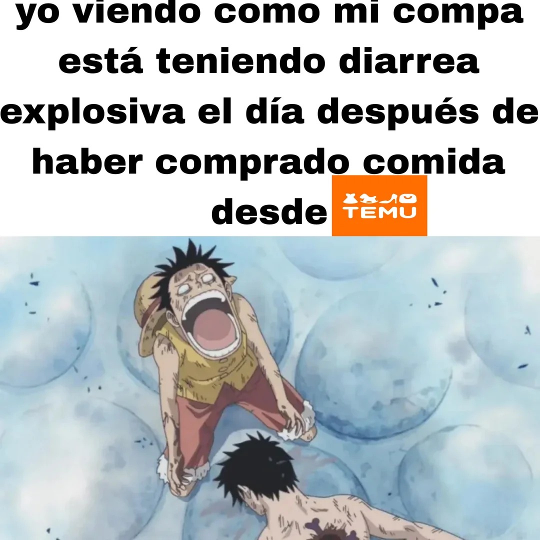 Alguien de aquí compra cosas en Temu? - meme