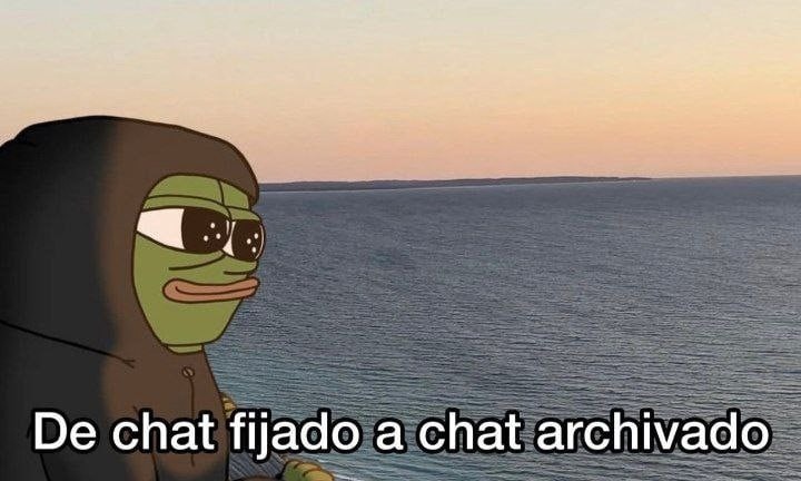 De estar fijado en mi vida a ser archivado como si nada - meme