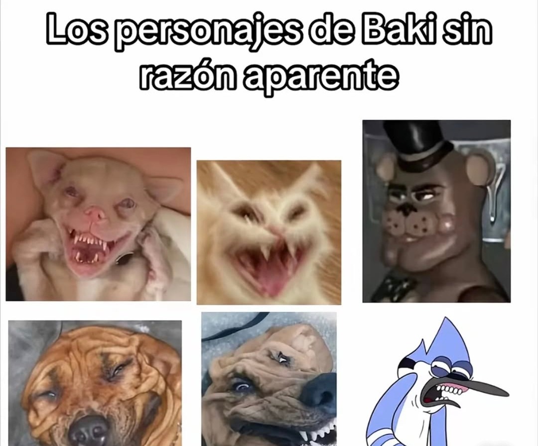 Los personajes de Bakisin sí que están en otra liga - meme