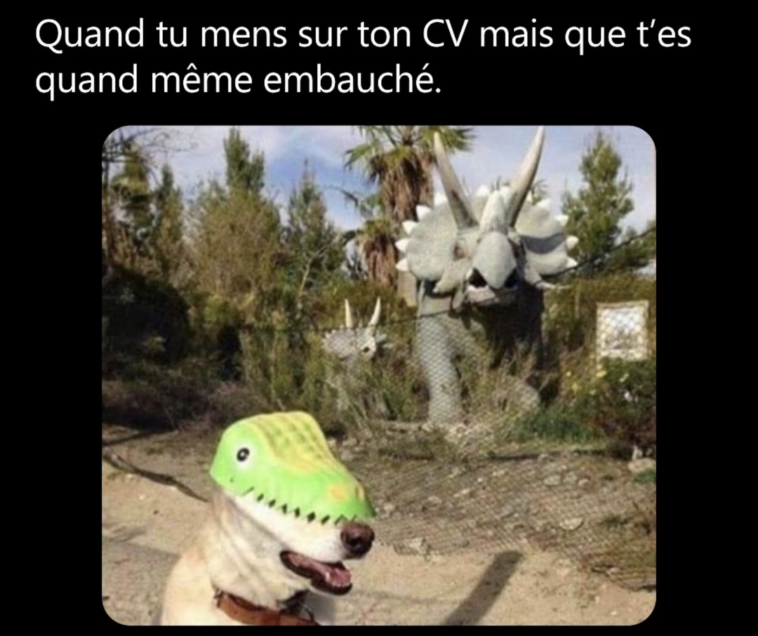 On improvise frère - meme