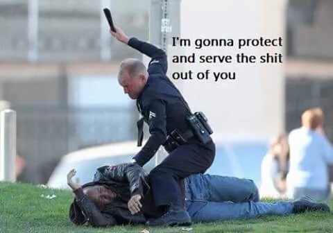 Protect and serve - meme