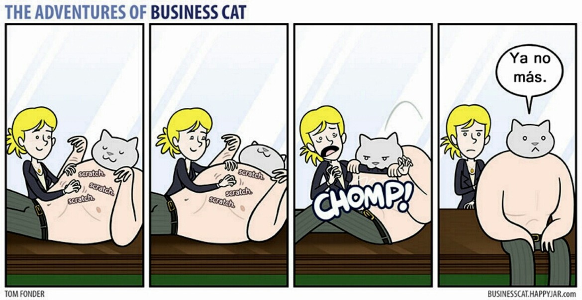The adventures of business cat - meme