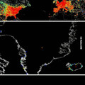 Mapa del uso global de Internet