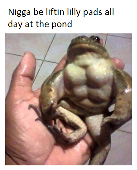 frog with abs