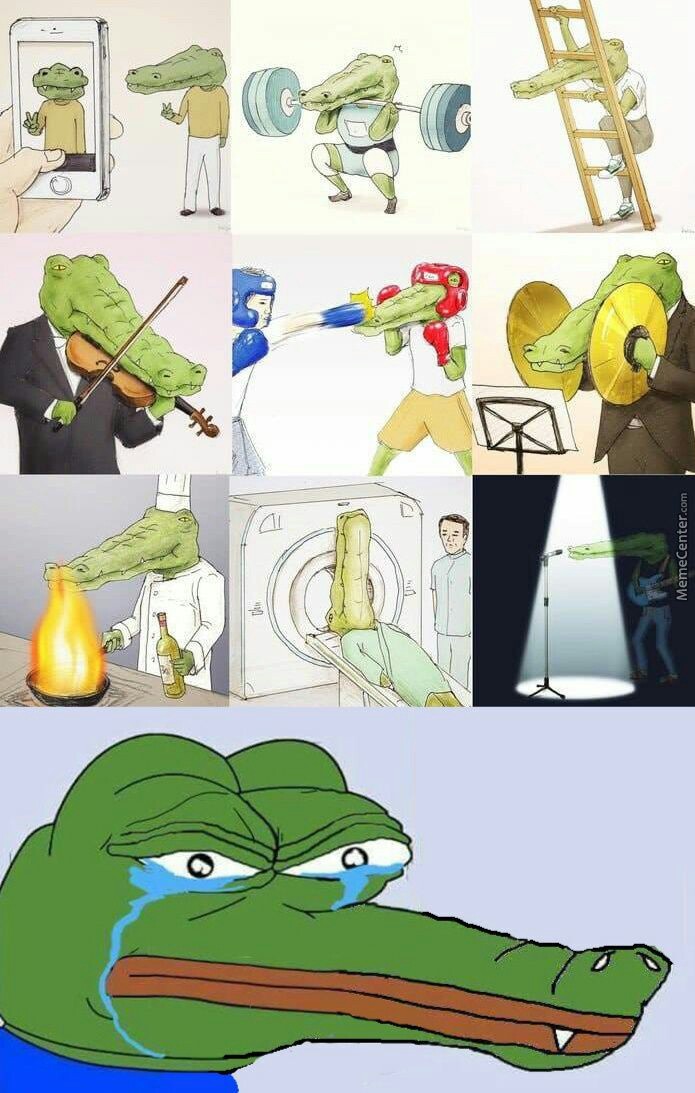 (╥﹏╥) sad crocodilo hours - meme