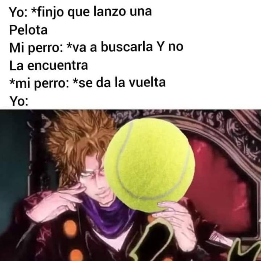 Imágenes divertidas, memes y gifs para ti :) 