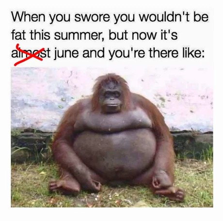fit for summer - meme