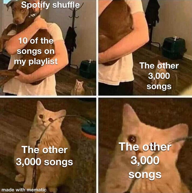 Spotify shuffle - meme