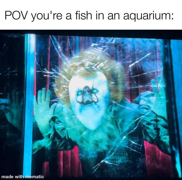 fish in an aquarium - meme