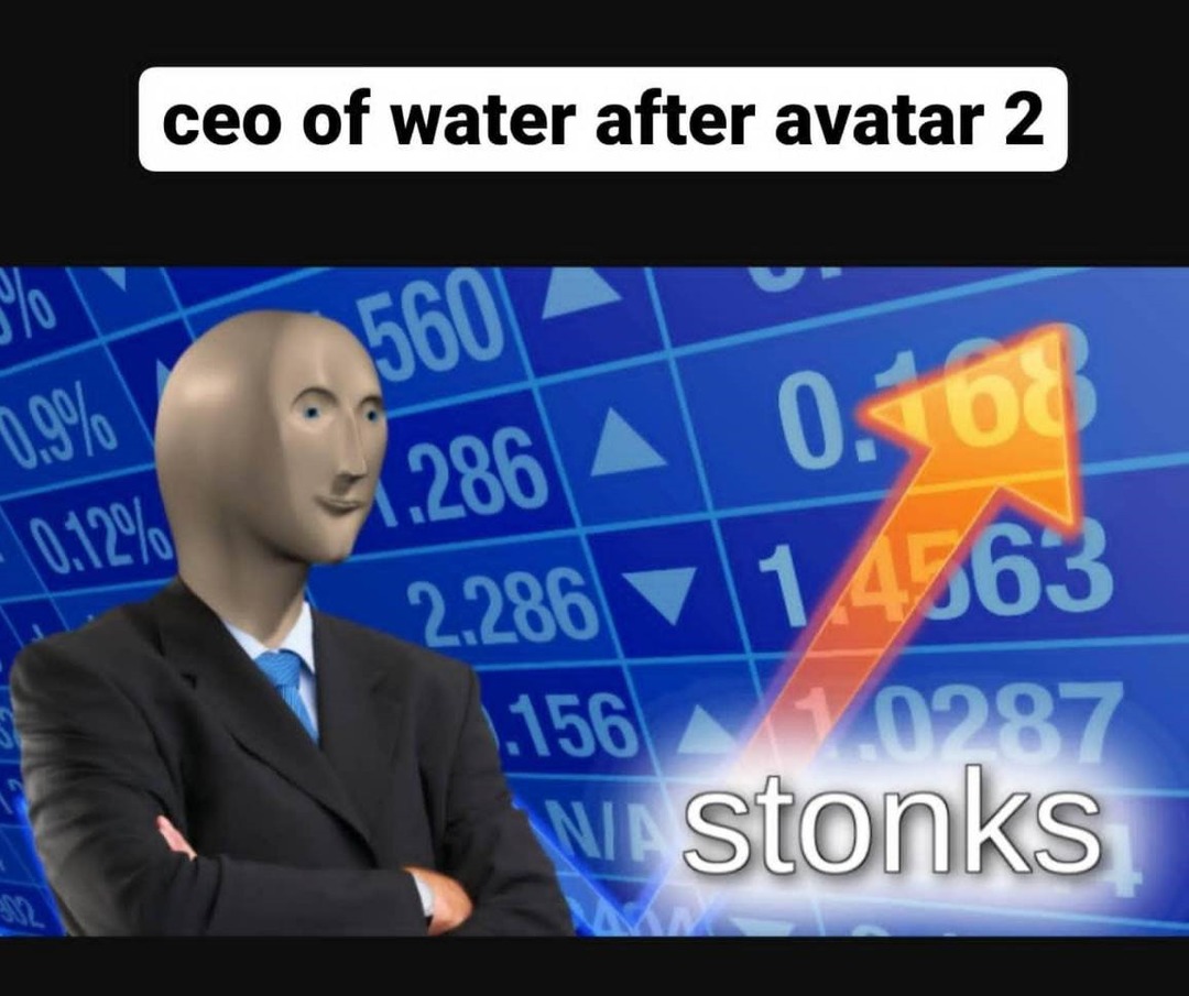 Ceo of water after Avatar 2: STONKS - meme