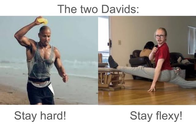 The two Davids - meme