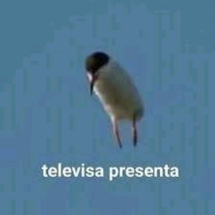 Meme malardo, rechazenlo porfa