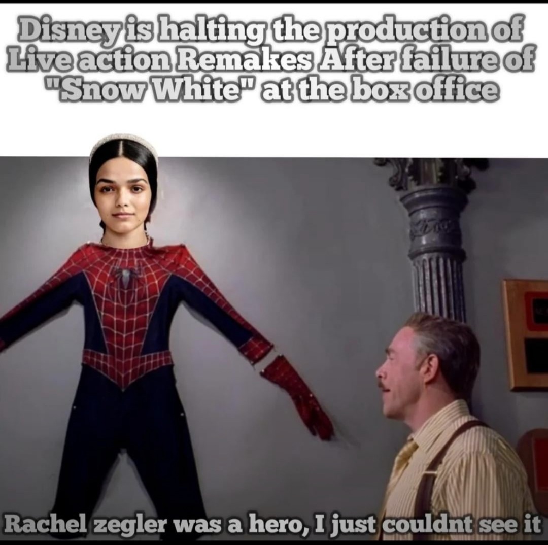 She’s the hero we didn’t need… or something like that. - meme