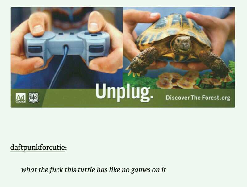 I like turtles - meme