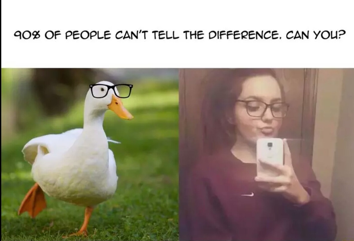 Two ducks - meme