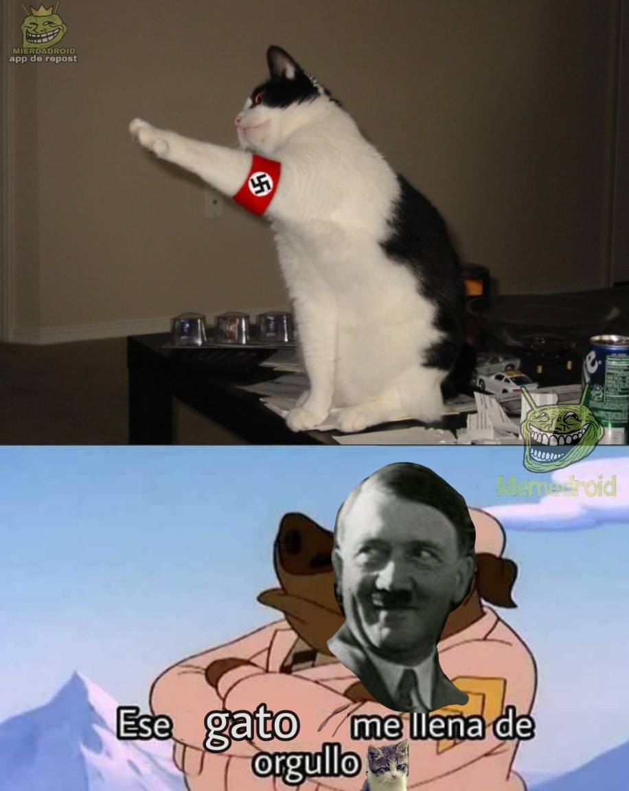 Nazi cat - meme