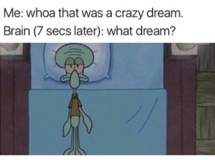 What's the weirdest dream you remember? - meme
