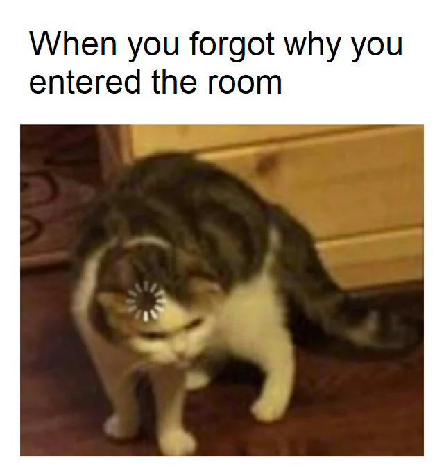 When you forgot why you entered the room - meme