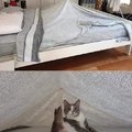 Pussy tent