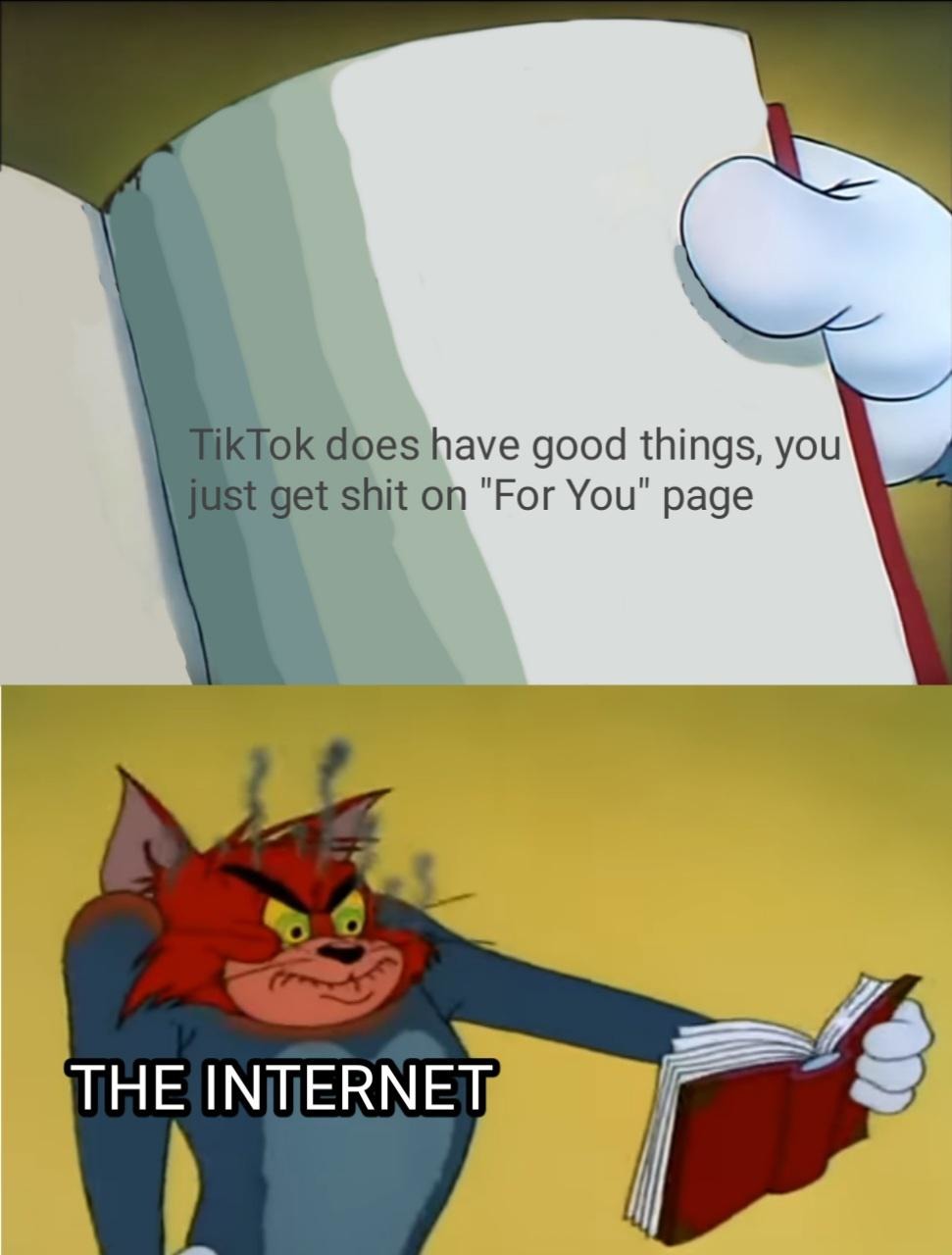 Internet and tiktok - meme