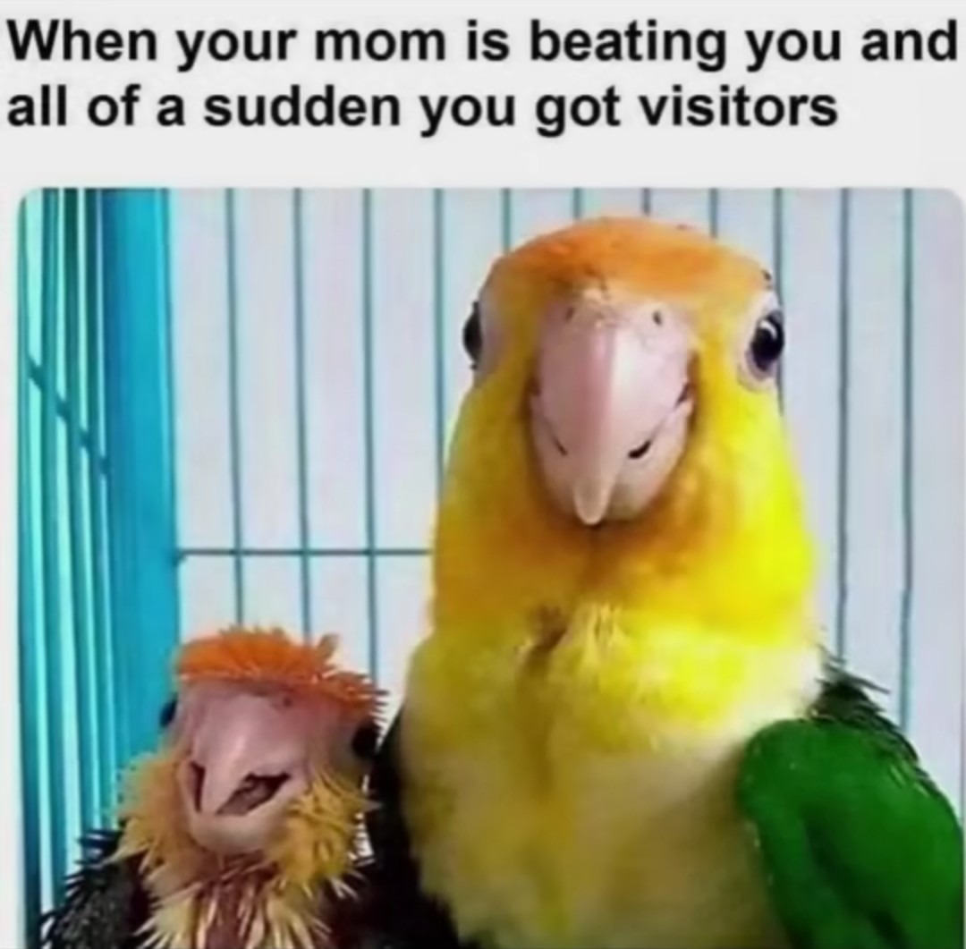 The best Mom memes :) Memedroid