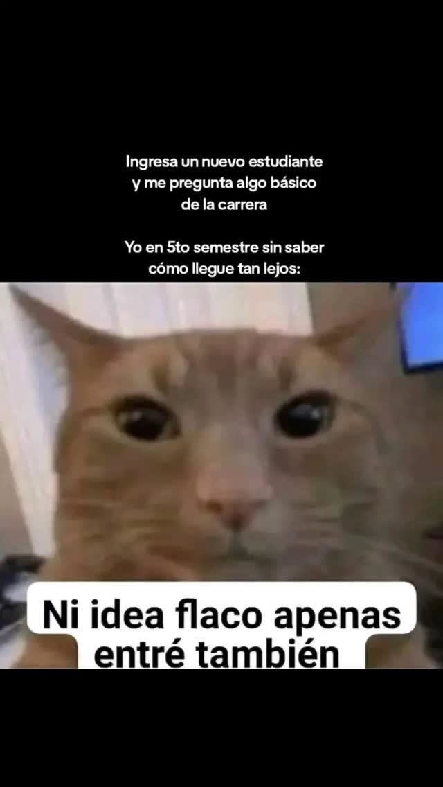 me preguntan sobre la carrera y yo en octavo semestre: flaco, tampoco sé cómo llegué hasta aquí - meme