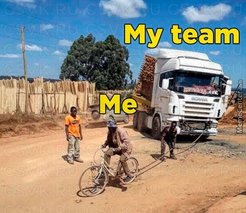 Me and my team - meme