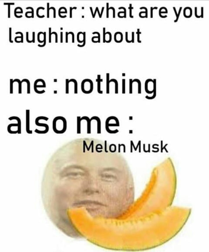 MeLoN mUsK - meme