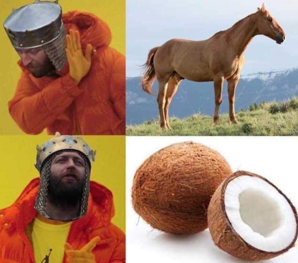 Are you suggesting that coconuts migrate - meme