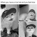 Nice little kitty cap.
