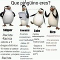 Que pingüino eres?