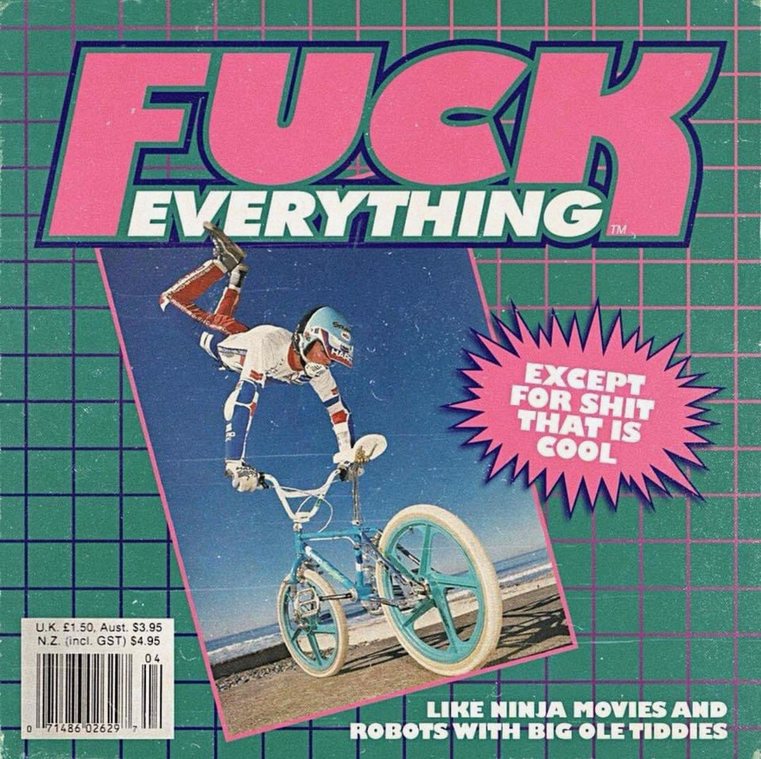 Fuck everything - meme